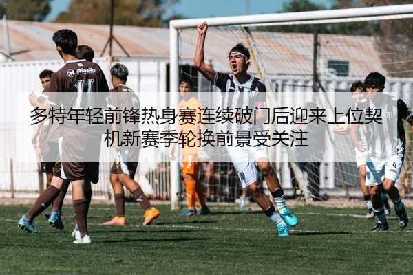 多特年轻前锋热身赛连续破门后迎来上位契机新赛季轮换前景受关注